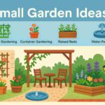 Small Garden Ideas
